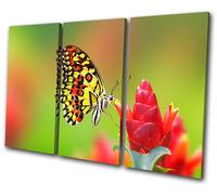 Animals Butterfly Flowers TREBLE TELA parete arte foto stampa