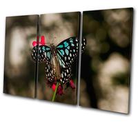 Animals Butterfly Flowers TREBLE TELA parete arte foto stampa
