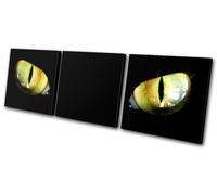 Animals Cats Eyes TREBLE TELA parete arte foto stampa