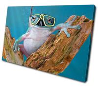 Animals Funny Frog SINGLE TELA parete arte foto stampa