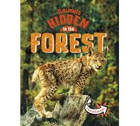 Animals Hidden in the Forest