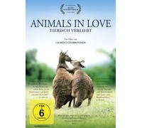 Animals in Love - Tierisch verliebt