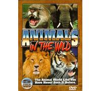 Animals in the Wild - Animals in the Wild