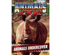 Animals in the Wild - Animals Undercover