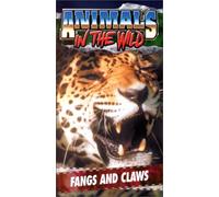 Animals in the Wild - Fangs & Claws