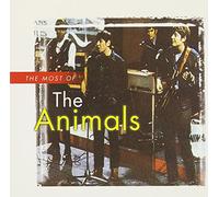 Animals - Most Of The Animals