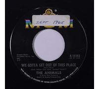 ANIMALS - we gotta get out of this place / i can't believe it