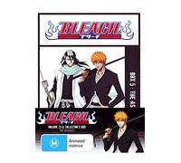 Animation [Collector S Box] - Bleach: Volume Twenty Three Col