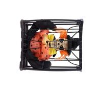 Animato Scheletro Luminoso Cage Halloween Puntelli Di Scena Diversi Stili Abs Materiali Interni Esterni Intrusive Decorazioni Casalinghe