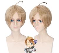 Anime Aph Hetalia Axis Powers America Alfred F Jones Parrucca Cosplay Breve Resistente Al Calore Capelli Sintetici Per Uomini Donne Costume Parrucche