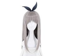 Anime Blend S Kanzaki Hideri Parrucca lunga diritta grigia Costume cosplay Donne Capelli termoresistenti Festa di Halloween Parrucchieri MZ-1256