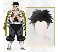 Anime Comic Demon Slayer Kimetsu no Yaiba Parrucche Cosplay Himejima Kyoumei Parrucca Cosplay Parrucca sintetica resistente al calore Capelli neri