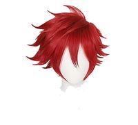 Anime cosplay Parrucca anime SK8 L'Infinity Reki Cosplay Parrucca capelli rossi Uomo Capelli corti Ricci Halloween Carnival Party Puntelli