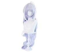 Anime Cosplay Wig,Fate Grand Order Merlin Wig,Silver Gradient Long Wavy Wig,with Free Wig Cap for Christmas Carnival Party Halloween Cosplay Wig, One Size, AS Show