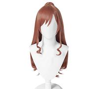 Anime Cosplay Wig for Lisa Imai Cosplay Wig,Long Brown Wig Synthetic Hair,Halloween Costume cosplay for Christmas Carnival Party