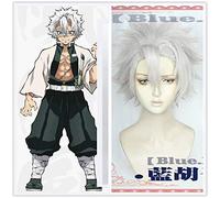 Anime Demon Slayer: Kimetsu No Yaiba Cosplay Shinazugawa Sanemi Capelli corti grigio argento Concerto di Halloween Gioco di ruolo Parrucca in stile