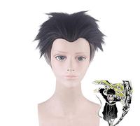 Anime Demon Slayer: Kimetsu no Yaiba Himejima Kyoumei Parrucche Cosplay Parrucca sintetica resistente al calore corta + Parrucca Cap PL-607