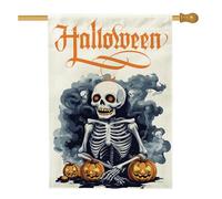 Anime Fun Halloween Witch Skeleton House Flag 71,1 x 101,2 cm Double Face per esterno decorativo, horror spaventoso zucca teschio frontyard tela casa bandiera, raccapricciante modello esterno cortile