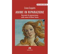 Anime in riparazione