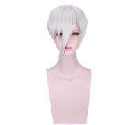Anime Land of the Lustrous Antarcticite Parrucca corta Costume cosplay Houseki no Kuni Capelli sintetici resistenti al calore Uomo Donna Parrucche