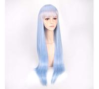 Anime Re: Zero Iniziare la vita in un altro mondo Parrucca cosplay grigio argento Parrucca capelli lisci Parrucca Emilia Intrecciata Parrucca blu