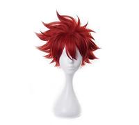Anime SK8 the Infinity Reki Cosplay Wig Red Short Heat Resistant Hair Halloween Carnival Party Role Play SK8 the Infinity SK Ei