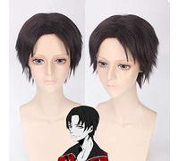 Anime The King's Avatar Yu Wenzhou Parrucca Marrone Capelli corti Parrucca Cosplay Uomo Parrucche sintetiche termoresistenti PL-216L