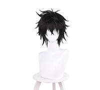 Anime The Rising of The Shield Hero Naofumi Iwatani Cosplay Wig Black Short Hair Four Legendary Heroes Mr. Naofumi Season 2 Prop