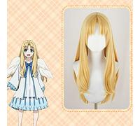 Anime The Rising Of The Shield Hero Parrucche Cosplay Filo Parrucca Cosplay Parrucca sintetica Capelli Tate No Yuusha No Nariagari Firo