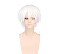 Anime Toaru Majutsu Nessun indice Acceleratore Bianco Parrucca corta Costume cosplay Resistente al calore Capelli sintetici Parrucche da uomo