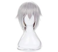 Anime Touken Ranbu Online Tsurumaru Kuninaga Parrucche Cosplay Argento Capelli lisci Sintetici Uomini e donne Parrucca in costume anime Perucas KUJ4501