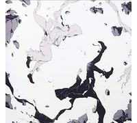 ANIMUS - BEFORE MY LIFE FAILS