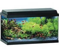 Anione Starter Kit per Acquario 56L