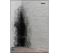 Anish Kapoor. Dirty Comer. Ediz. italiana e inglese