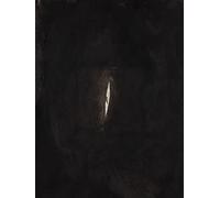 Anish Kapoor. Ediz. italiana