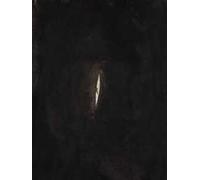 Anish Kapoor. Ediz. italiana