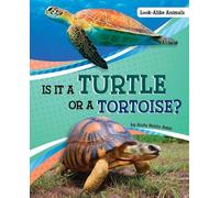 Anita Nahta Amin Is it a Turtle or a Tortoise (Copertina rigida)