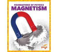 Anita Nahta Amin Magnetism (Copertina rigida) Foundations of Physics