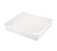 ANKROYU Alimentatore d'ape in plastica beehive beehive bere ciotola attrezzatura per apicoltura resistente capacità 4L leggera per la manutenzione primavera estate bianca bianca