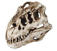 ANKROYU Dinosaur Skull Props, Resin Dinosaur Skull Skeleton Ornaments, Personality Animal Skeleton Ornaments for Home Office Display Decorative