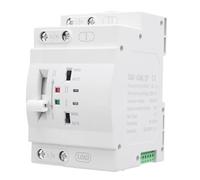 ANKROYU Interruttore di trasferimento automatico a doppia potenza SGQ1 63AE 2P 63A Commutatore generatore Selettore doppia fonte di alimentazione ad alte prestazioni per di alimen