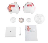 ANKROYU Modello di anatomia dell'occhio umano Ingrandimento 6X Modello didattico per bulbo oculare rimovibile con strutture dettagliate per studenti Medici Materiale PVC 16,5x15,5x
