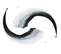Anlising 2PCS Un Velo di Danza Colorato, Palle per La Danza del Ventre, Velo di Seta di Danza del Ventre, Oscillanti Danza del Ventre, per La Danza del Ventre, Spettacoli, Feste E Spettacoli