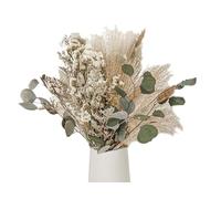 Anlising 45PCS Decorazione di Erba di Pampas Essiccata, Pampa Naturale, Fiori Secchi Decorativi, Erba di Pampa Essiccata, Pompas Marroni, Erba della Pampas Decorative, per Matrimoni, Camera da Letto