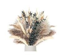 Anlising Decorazione di Erba di Pampas Essiccata, Pampa Naturale, Fiori Secchi Decorativi, Erba di Pampa Essiccata, Pompas Marroni, Erba della Pampas Decorative, per Matrimoni,Camera da Letto,Giardino