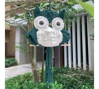 ANMUXI Arazzo da parete in macramè con gufo, realizzato a mano, stile bohémien, decorazione per la casa, regalo ispirato alla natura per gli amanti dei gufi, decorazione da parete minimalista in fibra