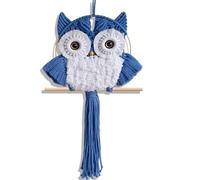 ANMUXI Arazzo da parete in macramè con gufo, realizzato a mano, stile bohémien, decorazione per la casa, regalo ispirato alla natura per gli amanti dei gufi, decorazione da parete minimalista in fibra