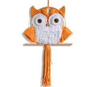 ANMUXI Arazzo da parete in macramè con gufo, realizzato a mano, stile bohémien, decorazione per la casa, regalo ispirato alla natura per gli amanti dei gufi, decorazione da parete minimalista in fibra