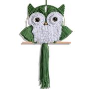 ANMUXI Arazzo da parete in macramè con gufo, realizzato a mano, stile bohémien, decorazione per la casa, regalo ispirato alla natura per gli amanti dei gufi, decorazione minimalista a tema uccelli in