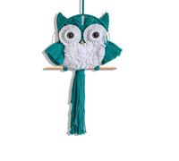 ANMUXI Arazzo da parete in macramè con gufo, realizzato a mano, stile bohémien, decorazione per la casa, regalo ispirato alla natura per gli amanti dei gufi, decorazione minimalista a tema uccelli in